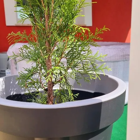 Villa Cosy D&d Brod Moravice