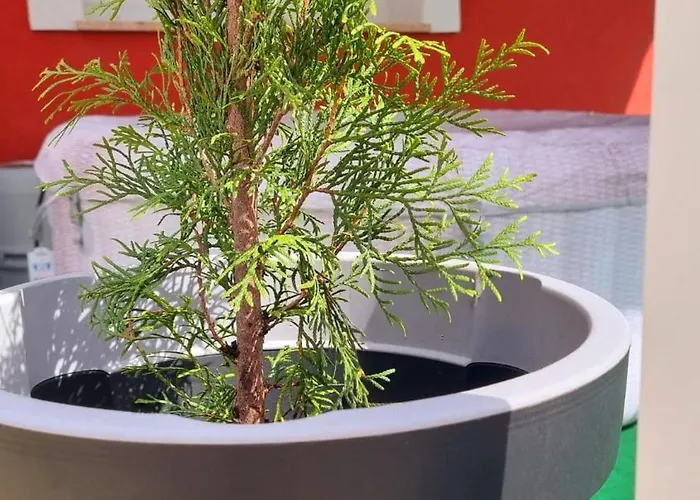 Vila Cosy D&d Brod Moravice